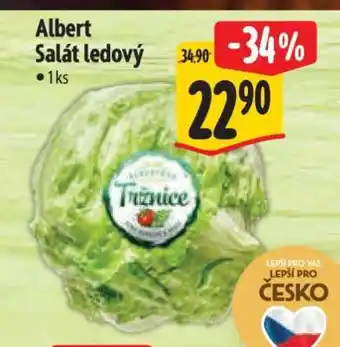 Albert Albert Salát ledový nabídka