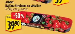 Albert Albert Rajčata Strabena na větvičce nabídka