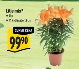Albert Lilie mix nabídka