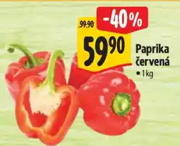 Albert Paprika červená nabídka