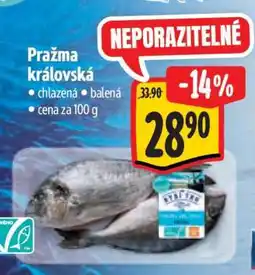 Albert Pražma královská nabídka