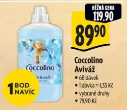 Albert Coccolino aviváž nabídka
