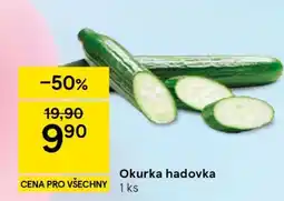 Tesco Okurka hadovka nabídka