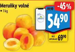 Albert Meruňky volné nabídka