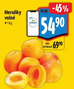 Albert Meruňky volné nabídka