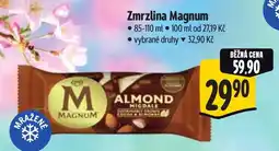 Albert Zmrzlina Magnum nabídka