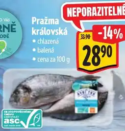 Albert Pražma královská nabídka