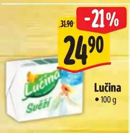 Albert Lučina nabídka