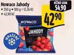 Albert Nowaco Jahody nabídka