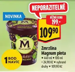 Albert Zmrzlina Magnum pinta nabídka