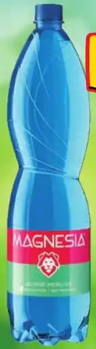 Albert Magnesia nabídka