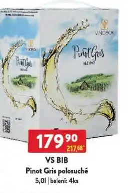 Qanto VS BIB Pinot Gris polosuché nabídka