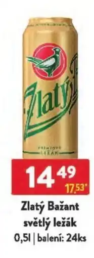 Qanto Zlatý Bažant světlý ležák nabídka