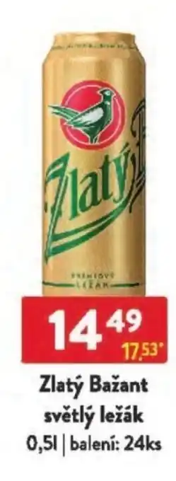 Qanto Zlatý Bažant světlý ležák nabídka