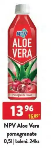 Qanto NPV Aloe Vera pomegranate nabídka