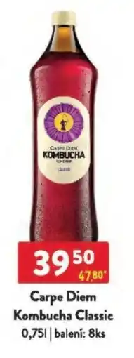 Qanto Carpe Diem Kombucha Classic nabídka