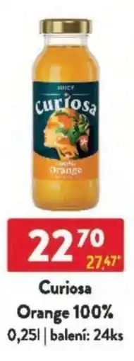 Qanto Curiosa Orange 100% nabídka