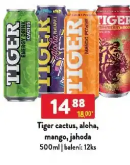 Qanto Tiger cactus, aloha, mango, jahoda nabídka