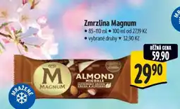 Albert Zmrzlina Magnum nabídka