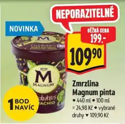 Albert Zmrzlina Magnum Pinta nabídka