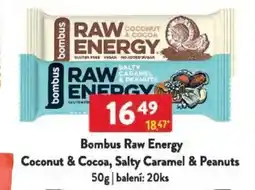 Qanto Bombus Raw Energy Coconut & Cocoa, Salty Caramel & Peanuts nabídka