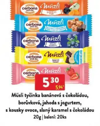 Qanto Müsli tyčinka banánová s čokoládou, borůvková, jahoda s jogurtem, s kousky ovoce, slaný karamel s čokoládou nabídka