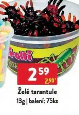 Qanto Želé tarantule nabídka