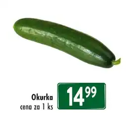 Qanto Okurka nabídka