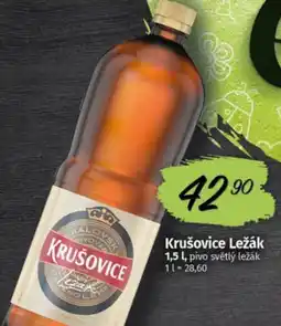 COOP TIP Krušovice Ležák nabídka