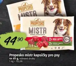 COOP TIP Propesko mistr kapsičky pro psy nabídka
