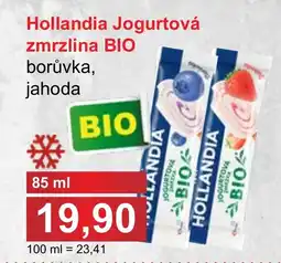 PLUS JIP Hollandia Jogurtová zmrzlina BIO nabídka
