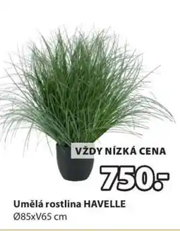 JYSK Umělá rostlina HAVELLE nabídka