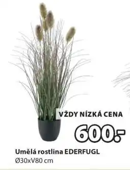 JYSK Umělá rostlina EDERFUGL nabídka