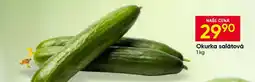 Hruška OKURKA SALÁTOVÁ nabídka