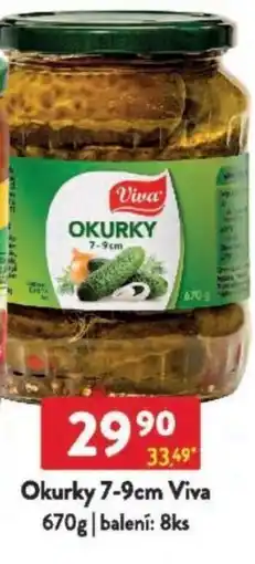 Qanto Okurky 7-9cm Viva nabídka