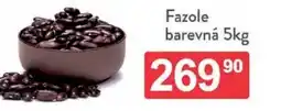 Qanto Fazole barevná nabídka