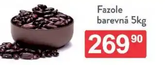 Qanto Fazole barevná nabídka