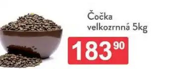Qanto Čočka velkozrnná nabídka