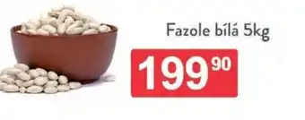 Qanto Fazole bílá nabídka