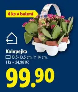 Lidl KOLOPEJKA nabídka
