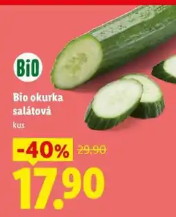 Lidl BIO OKURKA SALÁTOVÁ nabídka