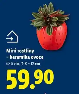Lidl MINI ROSTLINY-KERAMIKA OVOCE nabídka
