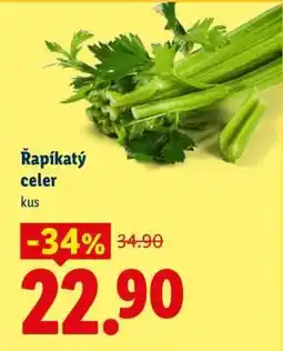 Lidl ŘAPÍKATÝ CELER nabídka