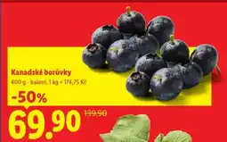 Lidl KANADSKÉ BORŮVKY nabídka