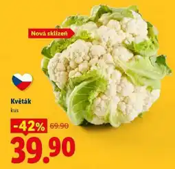 Lidl Květák nabídka