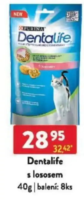 Qanto Dentalife s lososem nabídka