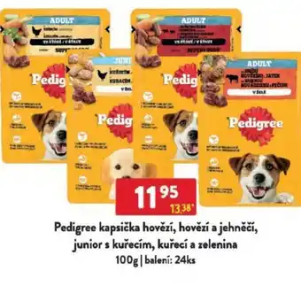 Qanto Pedigree kapsička hovězí, hovězí a jehněčí, junior s kuřecím, kuřecí a zelenina nabídka