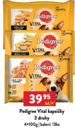 Qanto Pedigree Vital kapsičky nabídka