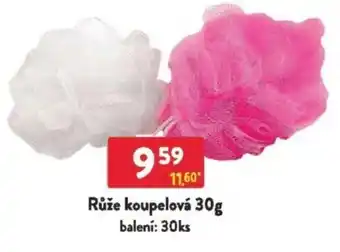 Qanto Růže koupelová nabídka