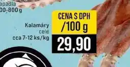 Jip Kalamáry celé cca 7-12 ks/kg nabídka
